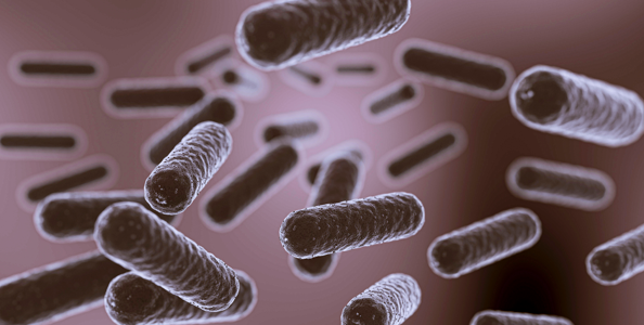 Lactobacillus: o poder do Dr. Lair Ribeiro na sua dieta